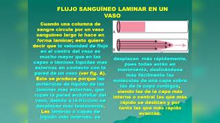 FISIOLOGÍA  CONTROL DEL FLUJO SANGUINEO  PROF DR RAFAEL ESTRADA [upl. by Nerol]