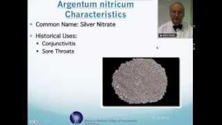 Argentum Nitricum Homeopathic Medicine Tips For Beginners [upl. by Almeda]