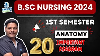 Anatomy का सभी Important Diagrams  इससे बाहर Exam में नहीं आएगा  BSc Nursing 1st SEM 2024 [upl. by Boccaj]