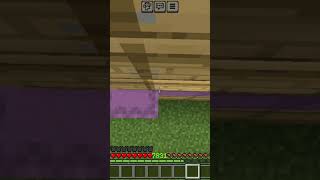 Shulker clutch shortsfeed minecraft gaming youtubeshorts [upl. by Immak]