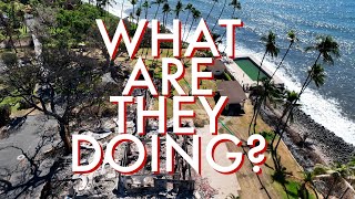 Updated Drone Footage  Lahaina Fire Devastation  Puamana and South Front St November 25th 2023 [upl. by Angadreme]