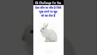 GK Top 20 Questions  GK Quiz  GK in Hindi  GKGS  gk railway brgkstudy gkfacts quiz [upl. by Latsirhc]