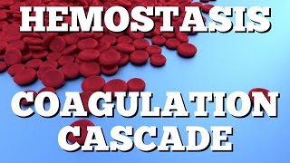 Secondary Hemostasis Coagulation Cascade Animation Made Easy [upl. by Amadeo8]