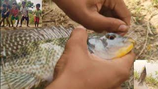 Fish Catching by Kids in Village  fishing kids lurefishing [upl. by Saunder754]