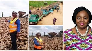 12 000 000an Yemisi Iranloye est riche grâce au manioc [upl. by Leclair759]