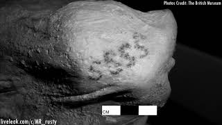 Worlds Oldest Tattoos Not Ötzi Found On Egyptian Mummy Mar 2 2018 [upl. by Moreland393]