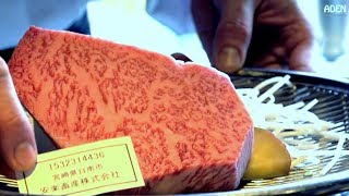 102 Miyazaki Wagyu Beef Lunch  Gourmet Teppanyaki FUKUOKA JAPAN [upl. by Namlas8]