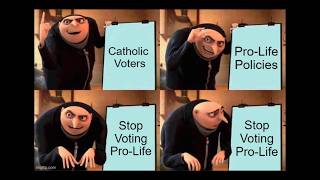 The Catholic Political Problem With The Republican ProLife Platform Change [upl. by Rovert246]