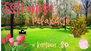 Esti mese relaxáció I A kertben [upl. by Eserehs]