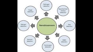 NANO BIOSENSORS [upl. by Uriia116]