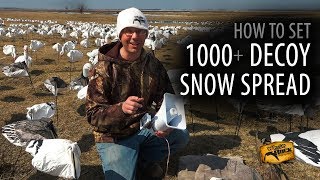 How to Set a 1000 Decoy Snow Goose Spread [upl. by Eidac893]