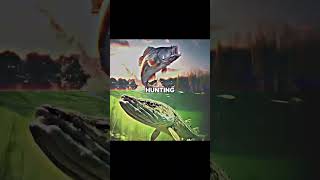 Largemouth bass vs northern pike bassfishing pikefishing fishing [upl. by Bethina451]