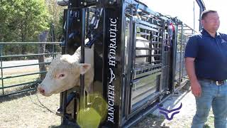 Lets Work Cows with a Rancher Hydraulic™ Squeeze Chute [upl. by Ainej]