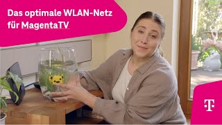 Telekom Das optimale WLANNetz für MagentaTV 23 [upl. by Aielam15]