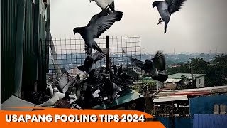 USAPANG POOLING TIPS 2024 [upl. by Alo]