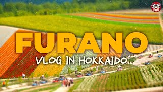 Gli Sconfinati Campi di Fiori di Furano 🇯🇵 [upl. by Anhavas]