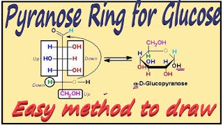 Cyclic Structure of Glucose  Pyranose Ring for Glucose  Carbohydrates [upl. by Ecertal]