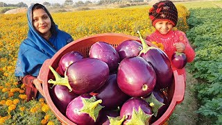 चूल्हे की लिट्टी और बैगन पालक की ये रेसिपी आपको गाँव की याद दिलाएगी INDIAN DINNER ROUTINE 2019 [upl. by Atoel]