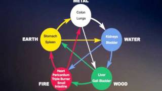 Chinese Five Elements 五行 wǔxíng or 5 Phases [upl. by Naujit]