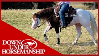 Clinton Anderson Presents Titan a Legend in the Making Lesson 6 Part 1  Downunder Horsemanship [upl. by Jandy]