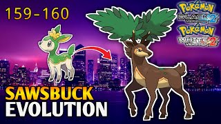 How To Evolve Deerling Into Sawsbuck In Pokemon Black 2 amp White 2  Unova Pokedex [upl. by Ahtilat]