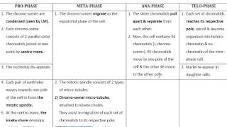 N6 Cell cycle  Mitosis amp meiosis Histology is easy [upl. by Bradleigh5]