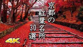 【4K 京都の紅葉🍁30選】鮮やかな極上の名所 [upl. by Annairb]