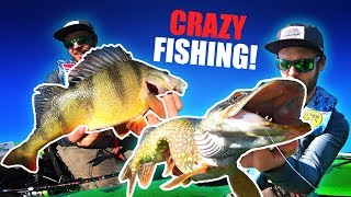 BIG PIKE amp PERCH FISHING at Åland Islands 🇦🇽 UNEXPECTED ENDING [upl. by Cadmann]