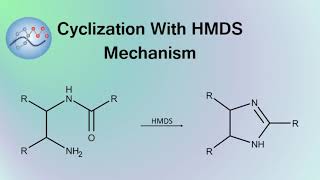 Cyclization With HMDS Mechanism  Organic Chemistry [upl. by Gillman]