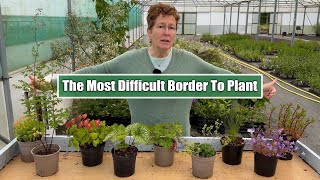 What Should You Plant in the ‘Coffin Border’ Perennials for Narrow Shallow amp Dry Borders [upl. by Meek]