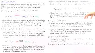 Properties of Enzymes [upl. by Bryan305]