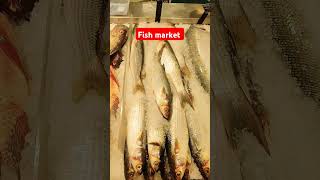 AL RAI Fish market Kuwait today special offer నతళ్లు foodie [upl. by Ion]