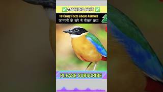 Crazy Facts About Animals 🐸🦘  Amazing Facts  Random Facts  Mind Blowing Facts in Hindi Shorts [upl. by Hazen]