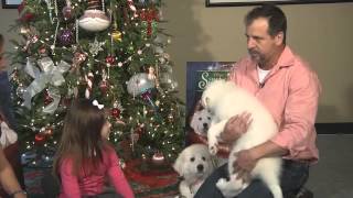 Kaitlyn Maher 8yo quotSanta Paws 2quot  WSBTV Atlanta  nov 2012avi [upl. by Elleirol]