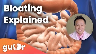 Bloating  The GutDr Explains 3D Gut Animation [upl. by Notrom]