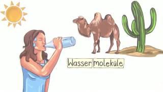 ABIOTISCHER FAKTOR WASSER  EINFLUSS AUF TIERE  Biologie  Ökologie [upl. by Aserehc]