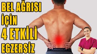 BEL AĞRISI İÇİN 4 ETKİLİ EGZERSİZ aktifizyo fiziktedavi belağrısı [upl. by Rtoip79]