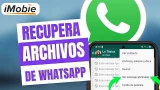 Cómo recuperar fotos y archivos de WhatsApp en iPhone⚠️ [upl. by Ahsekan]