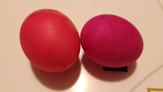 Red 🔴 salted duck eggs 🥚🥚🥚 or itlog na maalat satisfying asmr live viral [upl. by Jozef]