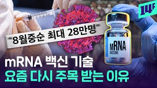 백신 회사들이 mRNA 기술 확보에 진심인 이유💉 지금까지 없었던 mRNA 백신 기술의 모든 것  14F [upl. by Niki]