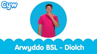 Arwyddo BSL  Diolch  BSL Signed Kids Song  Thankyou Welsh Cymraeg [upl. by Kania419]