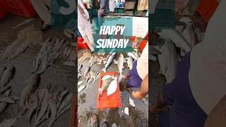 VIZAG FISHING HARBOUR vizag fish harbour trending shorts shark fishing prawns sunday [upl. by Misaq]