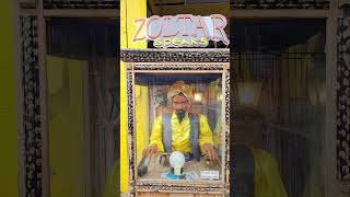 Zoltar is The Man 🗽👍🤞 big zoltar coneyisland coneyi [upl. by Barnet812]