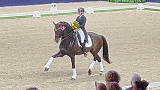 Blue Hors Zack dancing at 2023 KWPN stallion show [upl. by Aire]