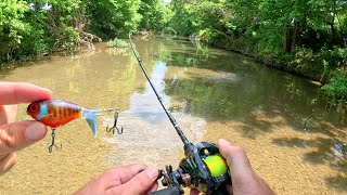 BFS Topwater Fishing Small Creek [upl. by Winni619]