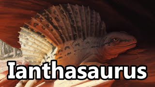 Ianthasaurus An Early Sail Backed Synapsid [upl. by Tronna]