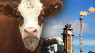 Climate Scientists Warn Methane Emissions Are Increasing [upl. by Asirrac651]