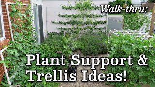 Trellis Plant Support Ideas  Vertical Urban Garden Edible Landscape Albopepper Walk thru [upl. by Arahsal]