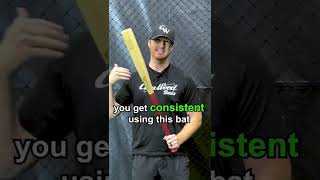 Aluminum Vs Wood Bat  What Should I Train With [upl. by Nairdad]