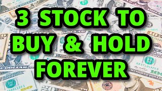 3 Stocks to Buy amp Hold FOREVER [upl. by Roberson455]